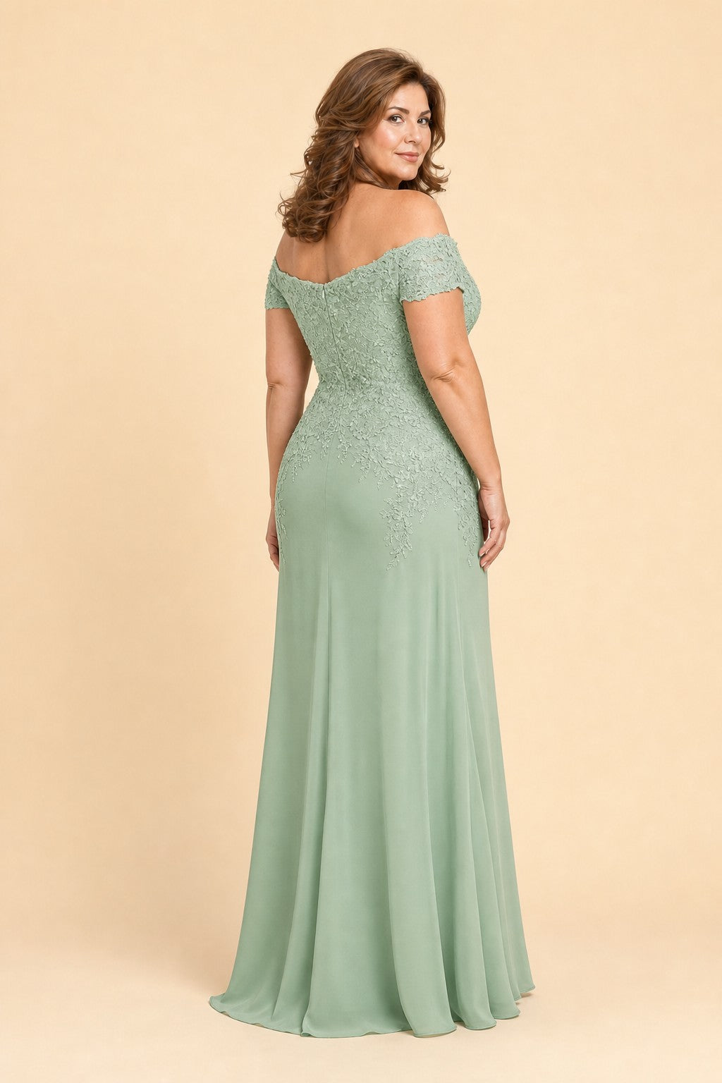 Plus Size Off Shoulder Lace Embroidered A-Line Mother of the Evening Gown Elegant Formal Wear
