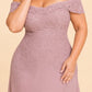 Plus Size Off Shoulder Lace Embroidered A-Line Mother of the Evening Gown Elegant Formal Wear