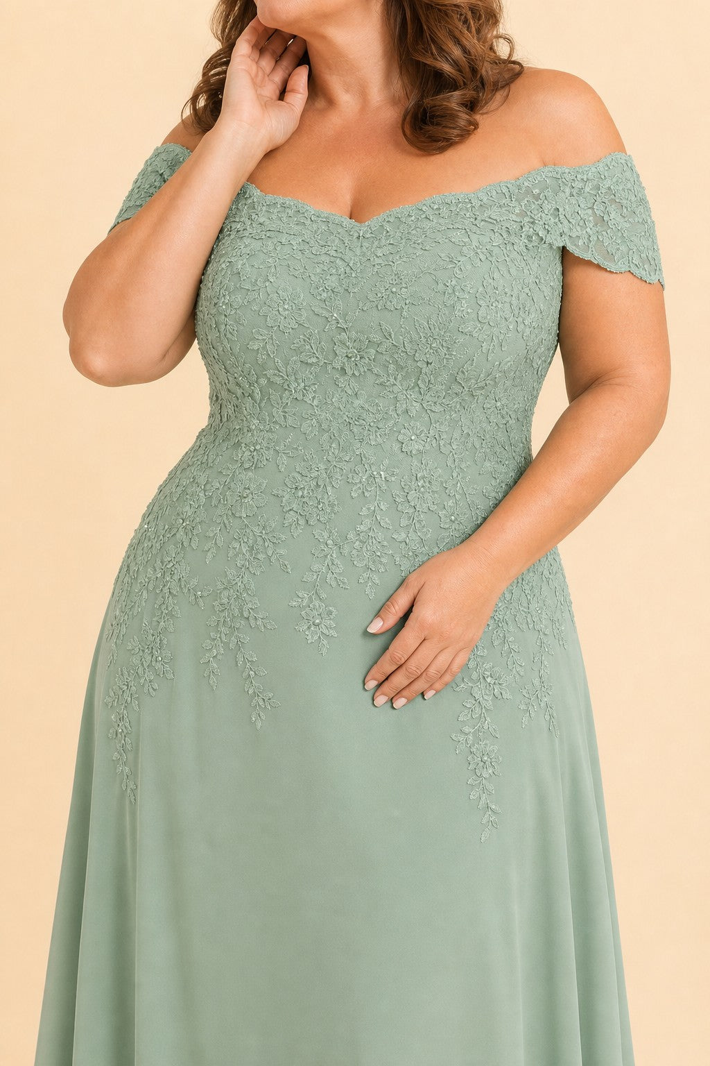 Plus Size Off Shoulder Lace Embroidered A-Line Mother of the Evening Gown Elegant Formal Wear