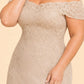 Plus Size Off Shoulder Lace Embroidered A-Line Mother of the Evening Gown Elegant Formal Wear