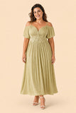 Elegant Plus Size Bridesmaid Dress with Pleated A-Line Silhouette